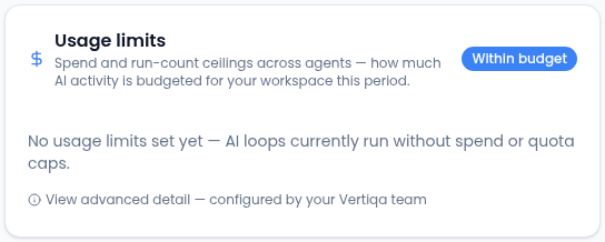 The Usage limits panel describing spend and run-count ceilings across agents, with a Within budget badge, the message No usage limits set yet — AI loops currently run without spend or quota caps, and a View advanced detail link.